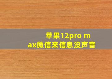 苹果12pro max微信来信息没声音